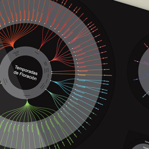 Visualización de Datos: Explorando Processing como herramienta de diseño