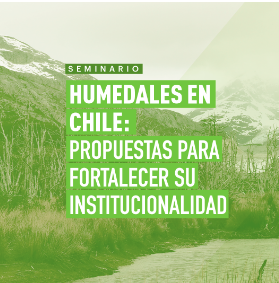 humedales