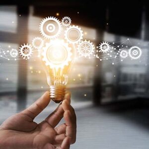 Innovación Corporativa: Creación y captura de valor desde el diseño